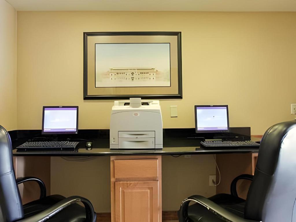 Comfort Inn & Suites Watford City Bagian luar foto